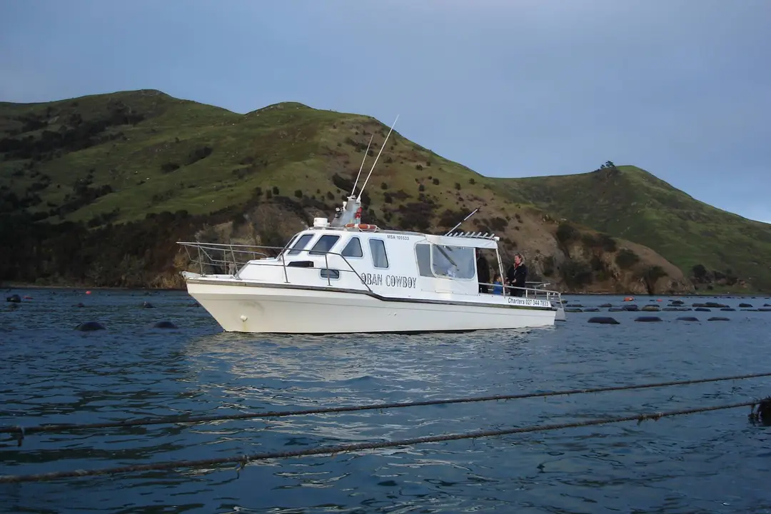 Coro Cowboy Fishing Charters