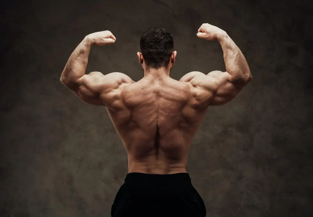 Sculptor’s Lifestyle & Fitness