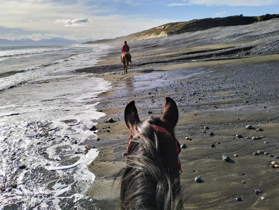 Orepuki Horse Treks