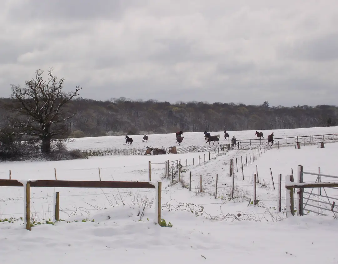 Little Leigh Farm Equestrian Centre