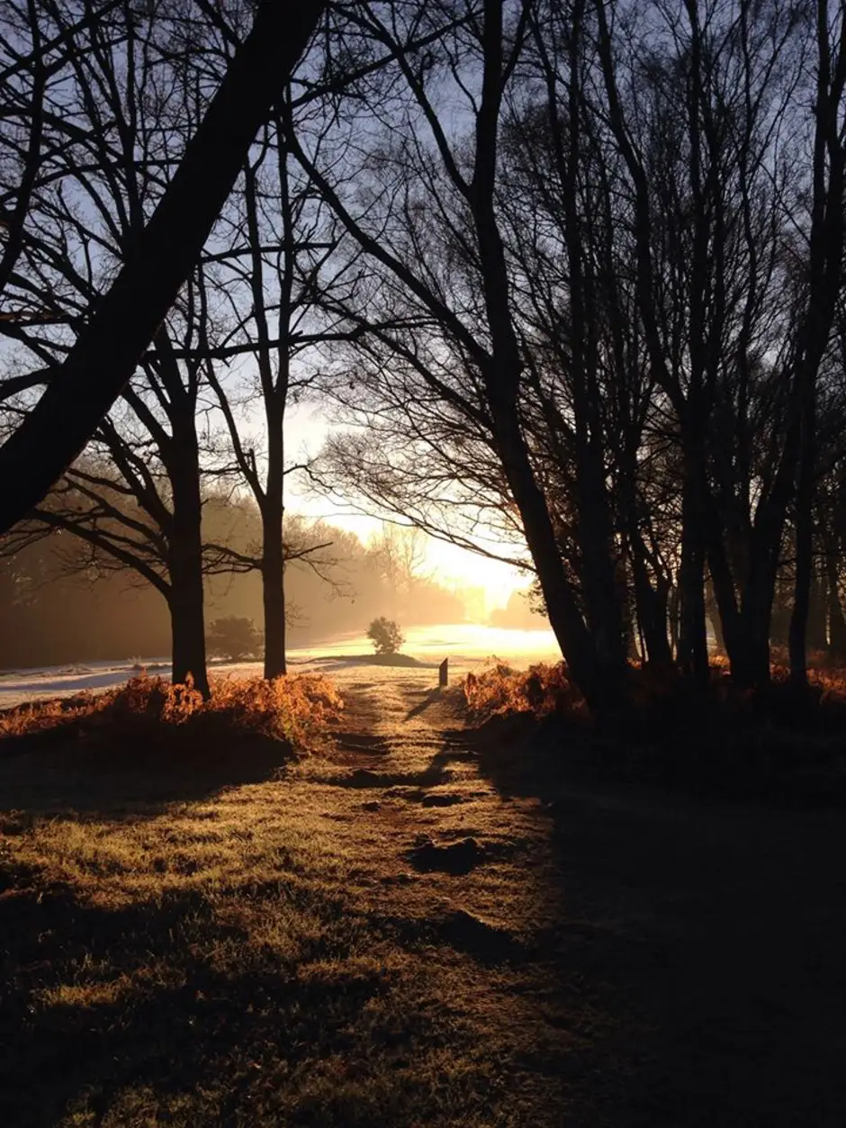 Holtye Golf Club