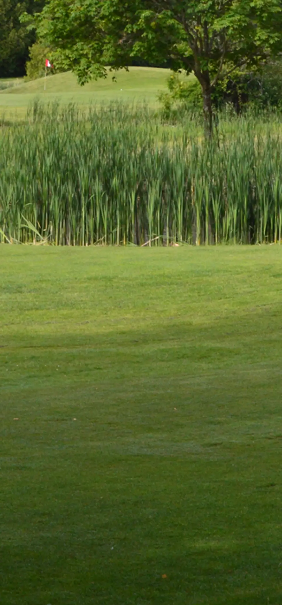 4 Seasons Country Club