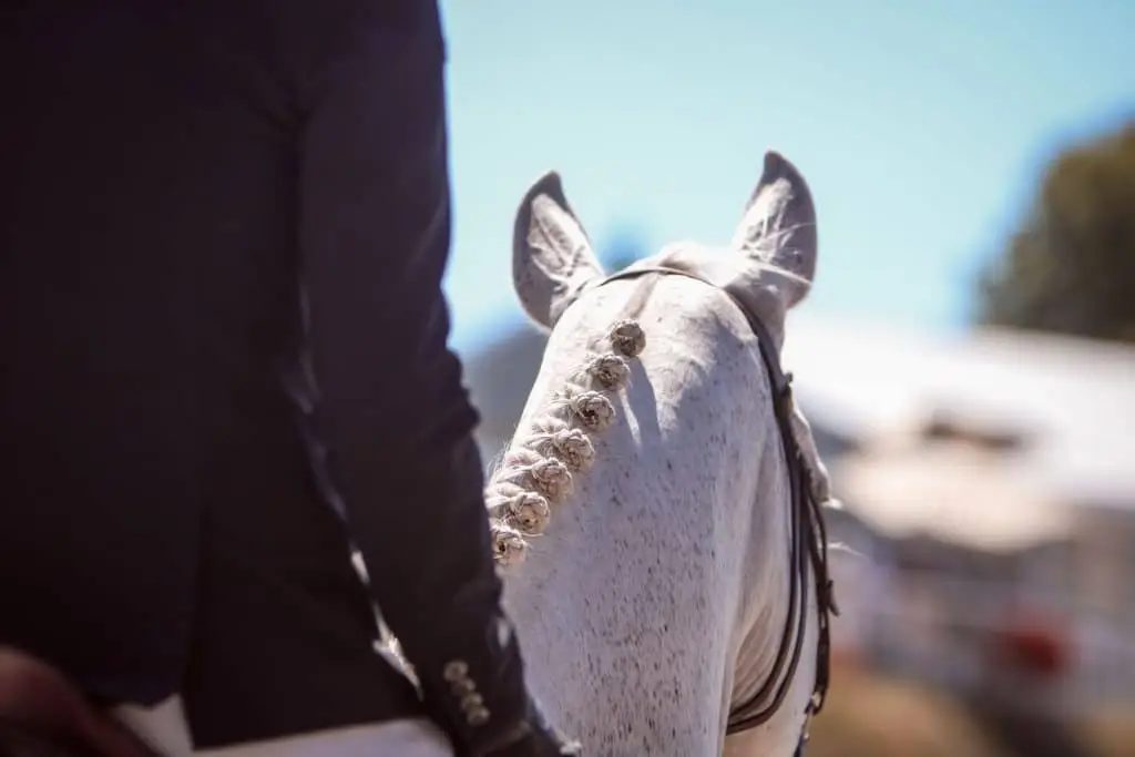 Normandy Horse Show
