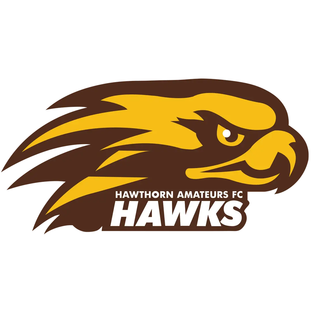 Evado Studios Hawthorn