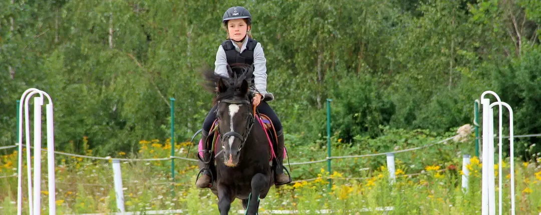 Equestrian Center De Bersée