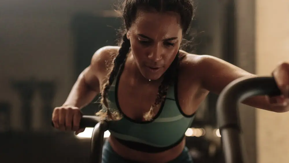 Hammer Athletic