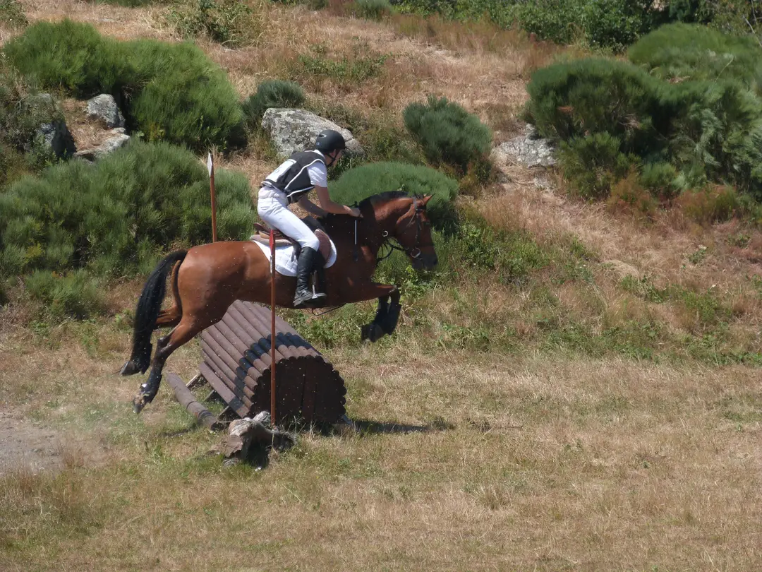 Pony Club Equestrian Center Les Kiwis