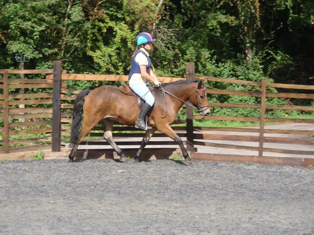 Engine Common Riding School