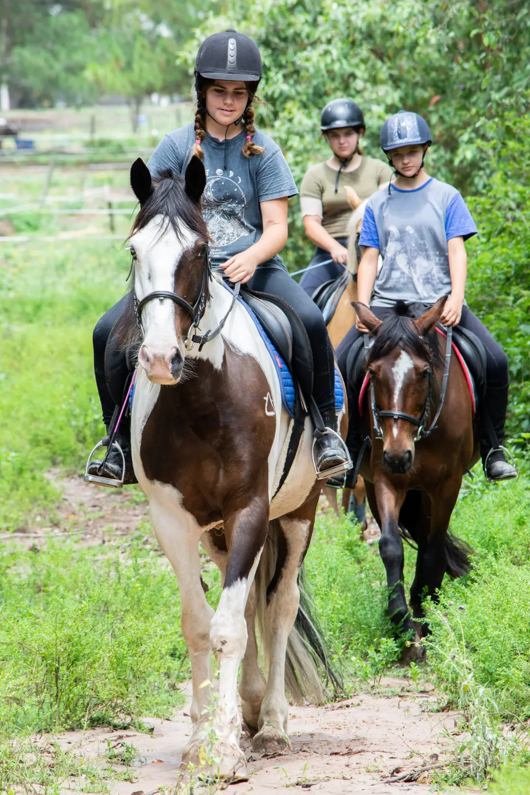 Equestrian Spirit