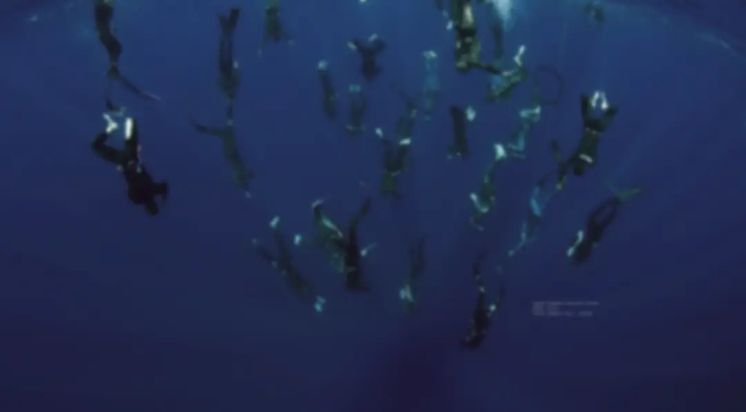 Apnea42 Freediving (Singapore)