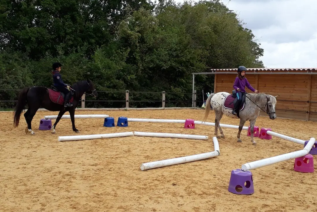 Les Poneys de Monthoiron
