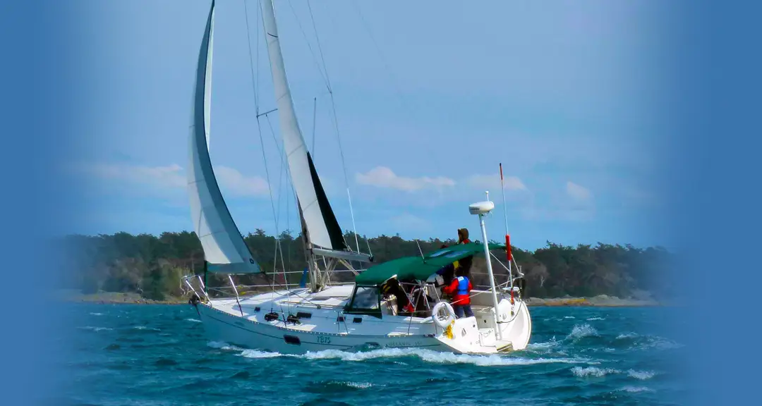 Blackfish Sailing Adventures