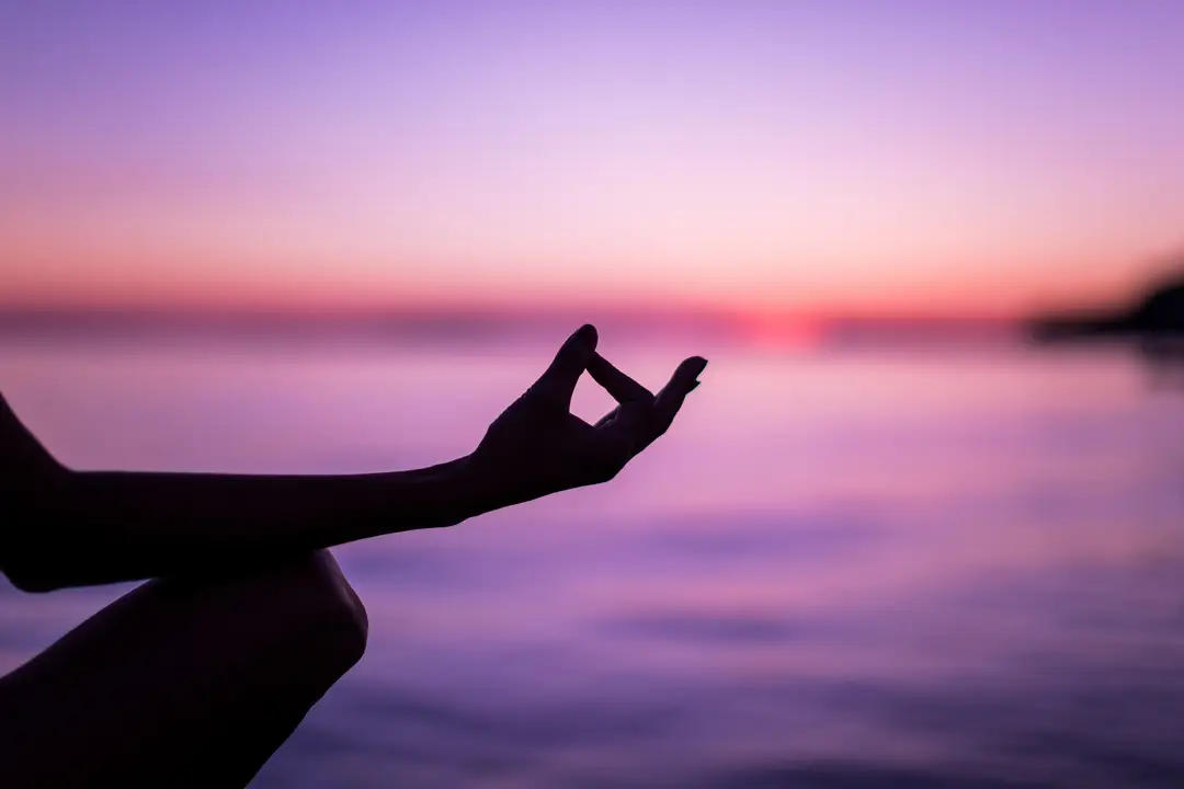White Branches Yoga
