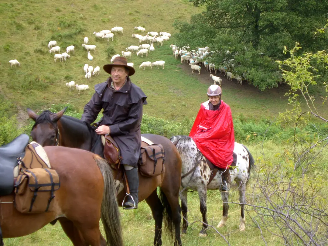 Cheval Senior