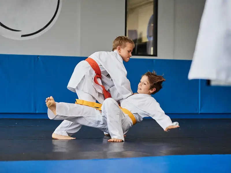 Troyes Aube Judo