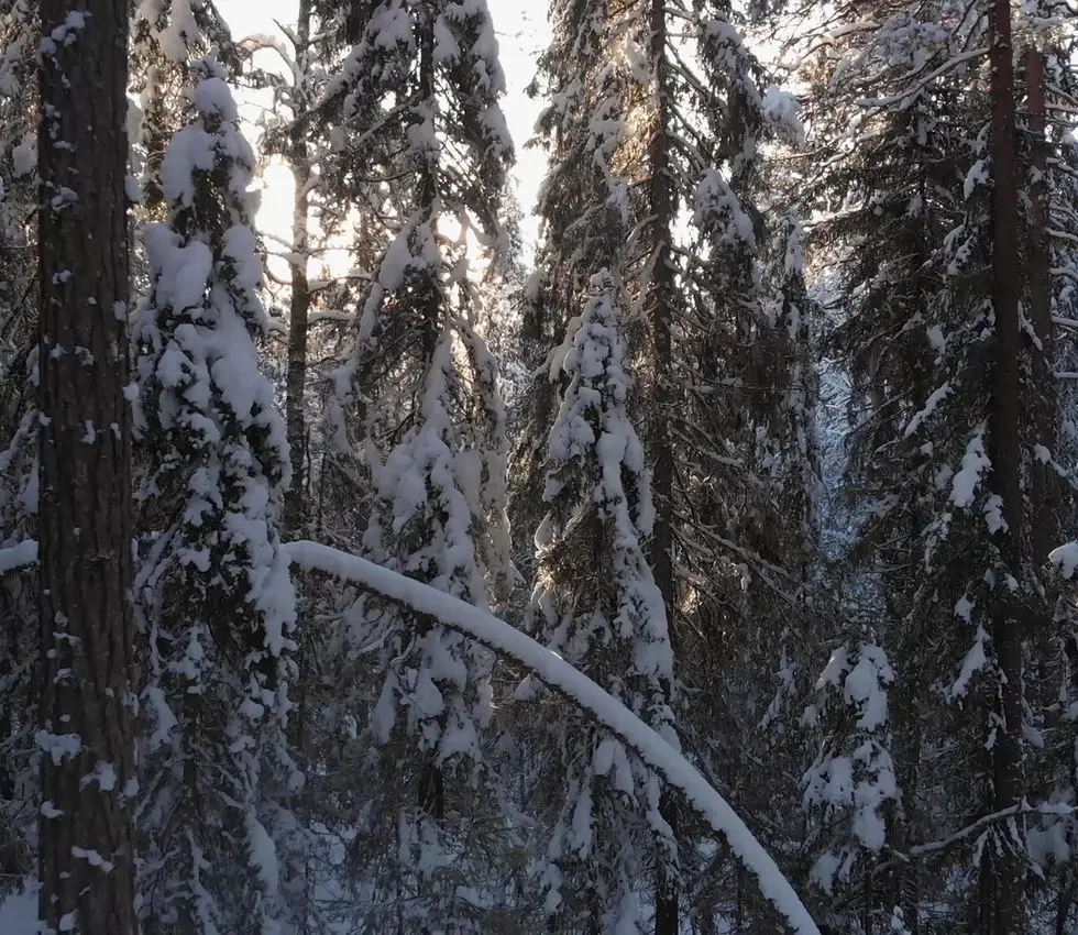 Marathon Cross Country Ski and Snowshoe Club
