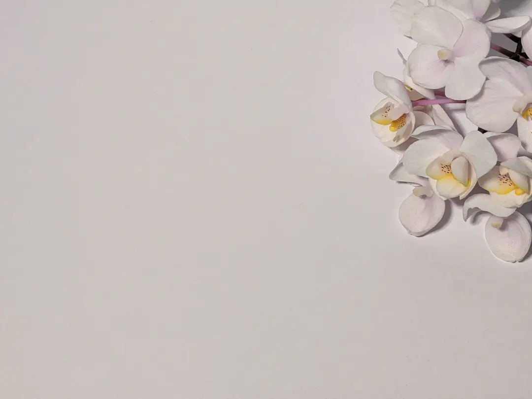 Cattleya Yoga Studio