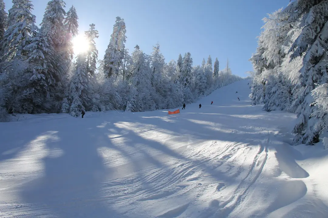 Location de Ski le Grand Haut