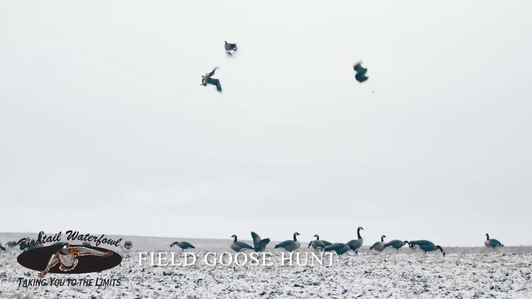 Birdtail Waterfowl Inc