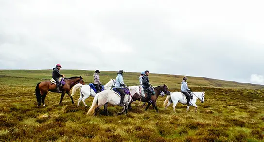 Highlands Unbridled Trail Riding and Trekking Centre