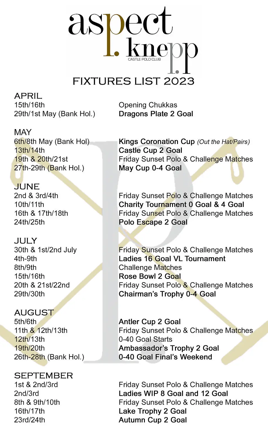 Aspect Knepp Castle Polo Club