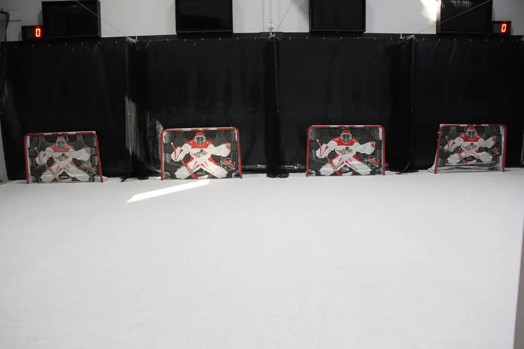 Atomic Hockey: Elite Skating and Skill Development