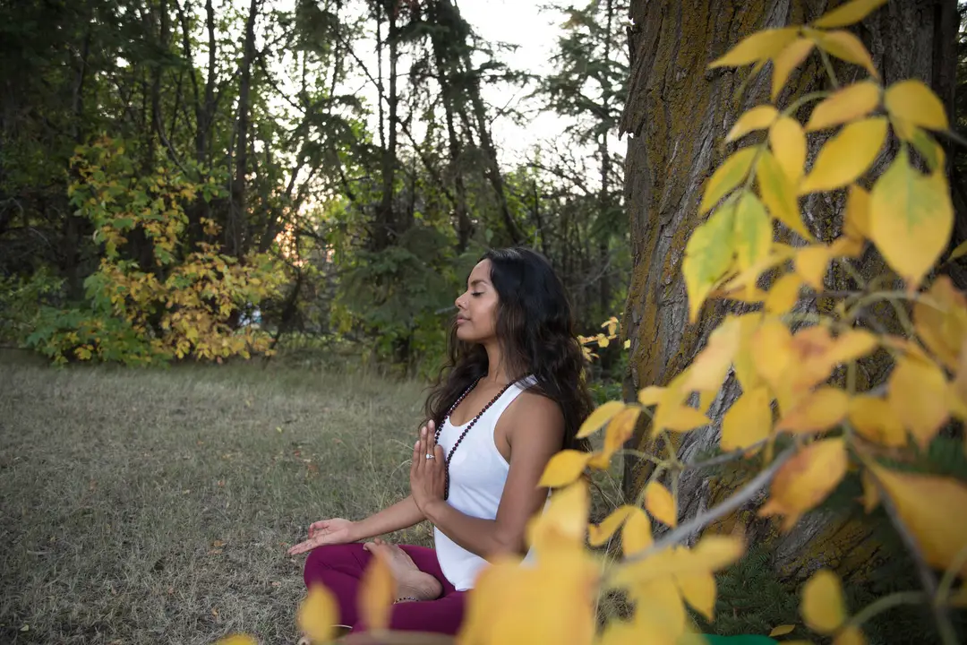 Shaktiflow Studios