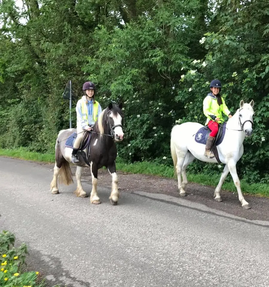 Minnismoor Riding Stables