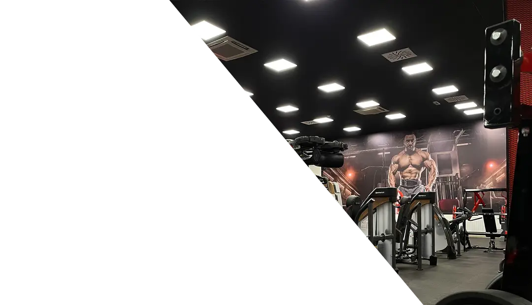 365 Gym