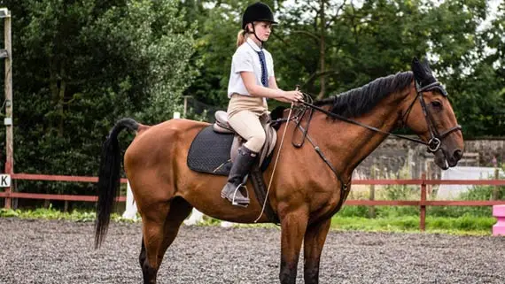 Balcurvie Riding School