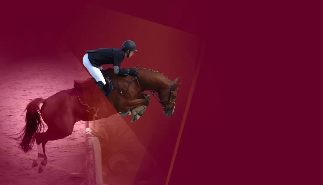Scea Du Haras D'eglefin
