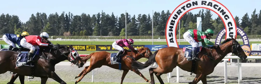 Ashburton Trotting Club