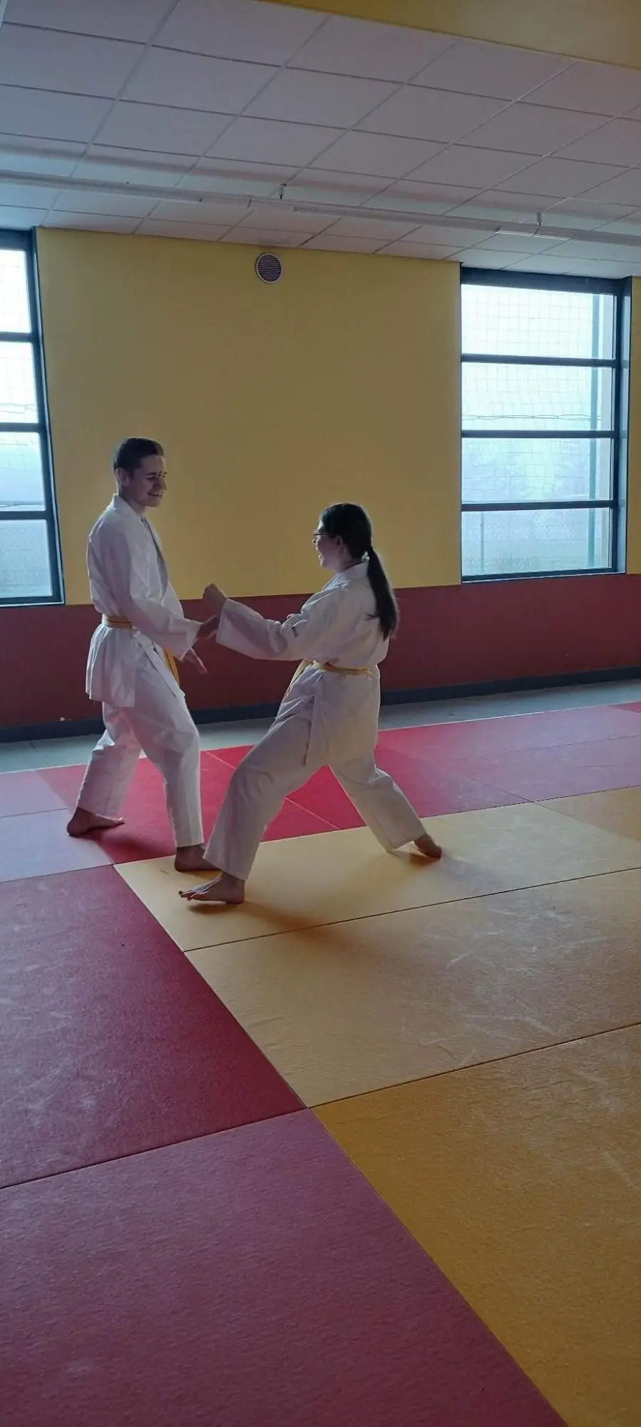Ecole Sportive De Karate Vendeuvre
