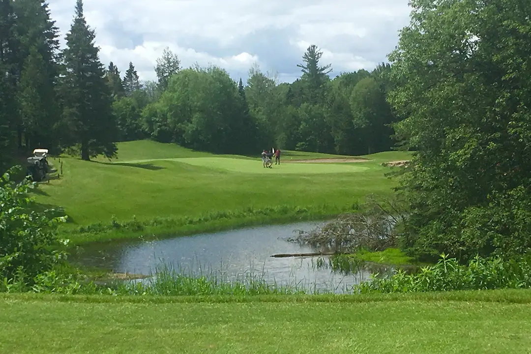 Golf Oasis