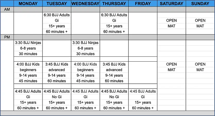 ALIVE DOJO Brazilian Jiu Jitsu & Judo