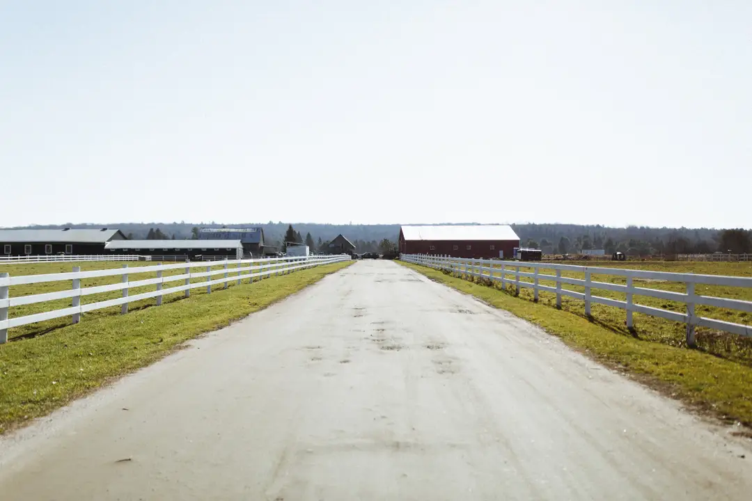 Maple Lane Farms