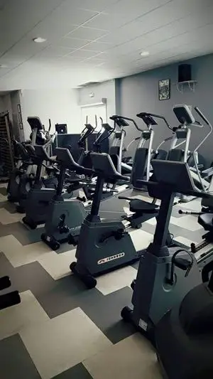 Body Energy