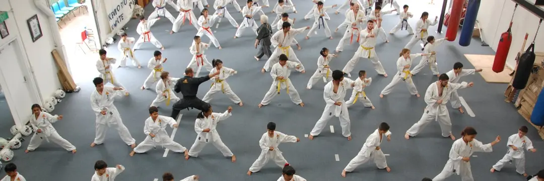 Kempo Ryu International Karate Organisation - Burwood