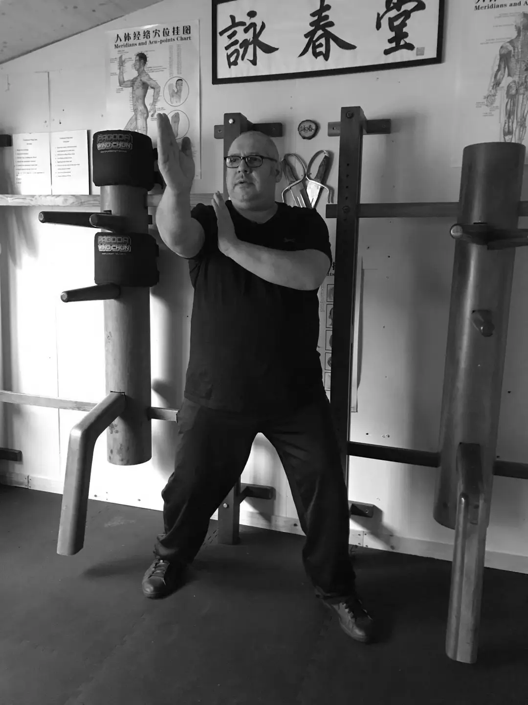 Wing Chun Traditional Kent Martial Art kung Fu