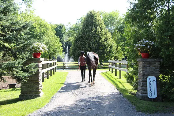 Sans Souci Riding Ctr