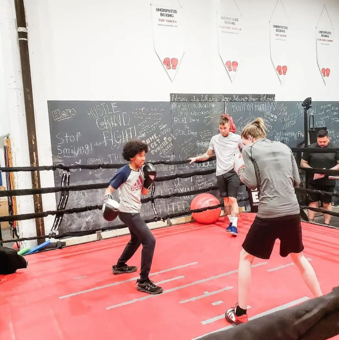 UNDISPUTED BOXING