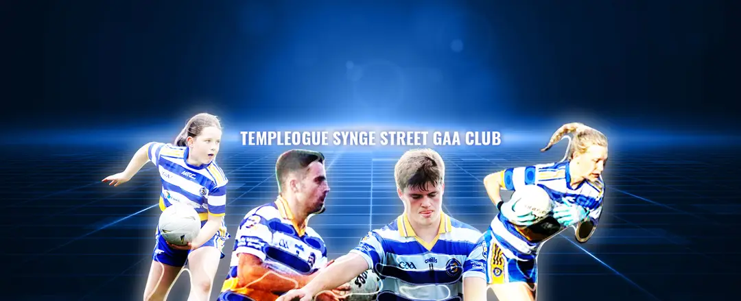 Templeogue Synge Street GFC VEC Pitch