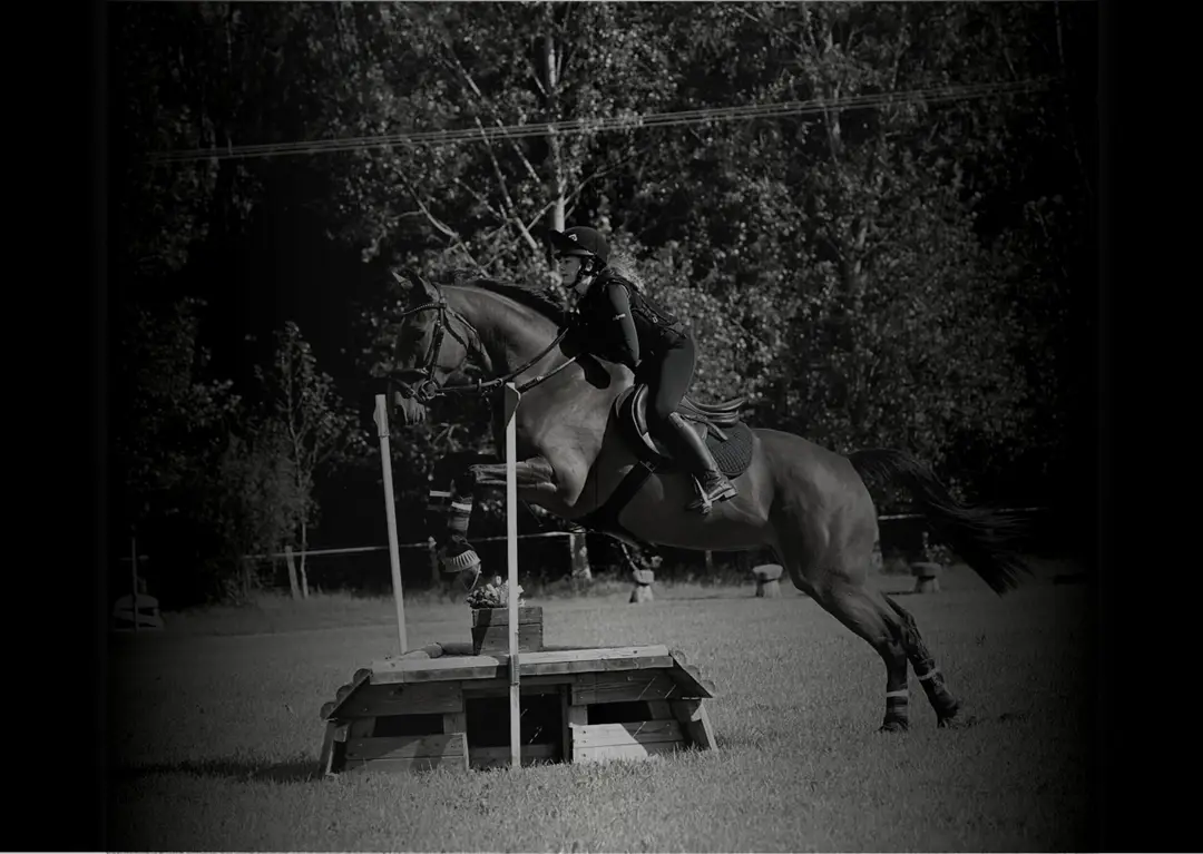 Ace Cross Country