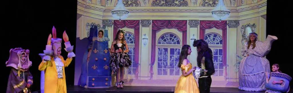 Theatre Bugs