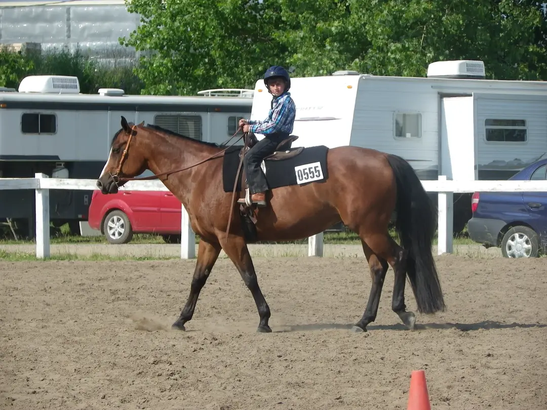 Equestrian Center & Services questres L'hritage