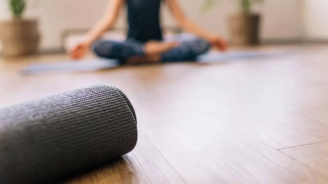 Wild Nest - Yoga Studio