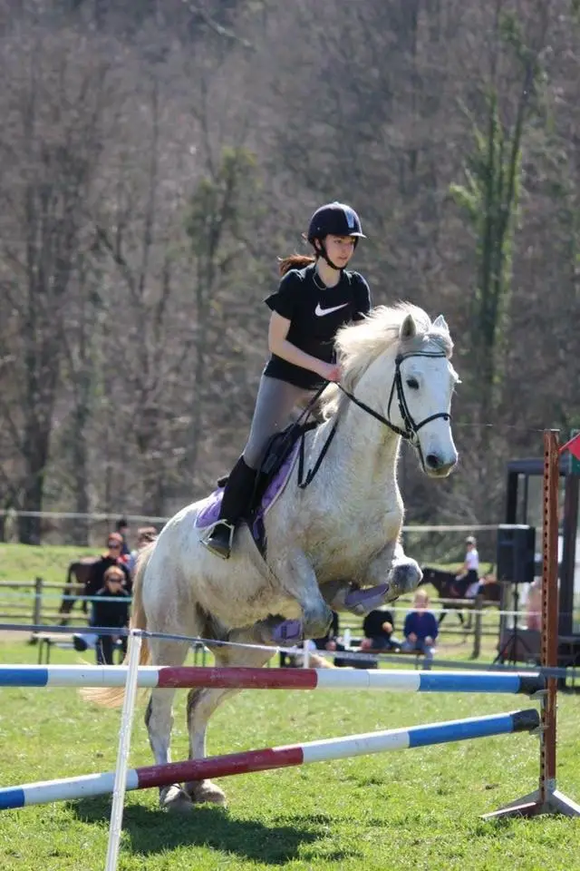 Centre Equestre Cantegril