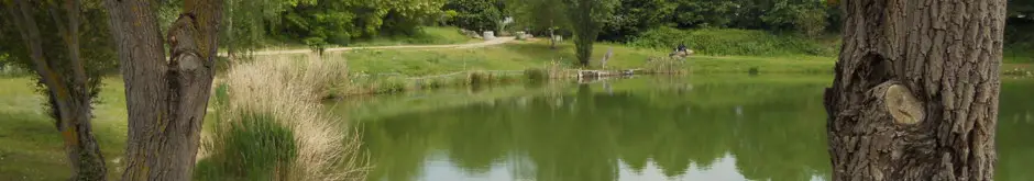 La Gaule Acheroise