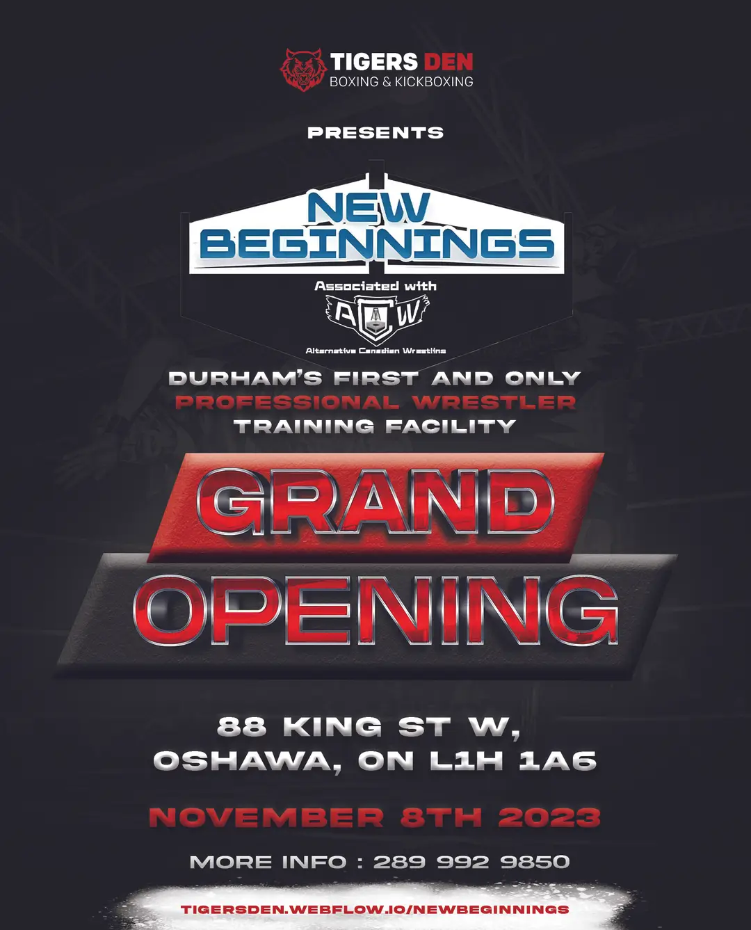 Tigersden Boxing/Kickboxing