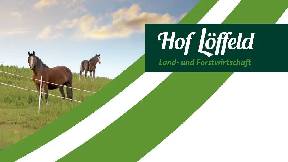 Hof Löffeld